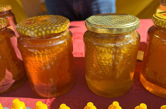 Flüssiges Gold aus der Natur: Was Honig so besonders macht